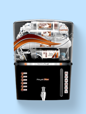 Aquafresh Royal Blue Copper Alkaline RO Water Purifier